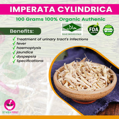Dried Imperata cylindrica 