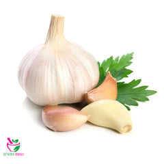 Garlic Powder 100 Grams 100% Organic Authenic