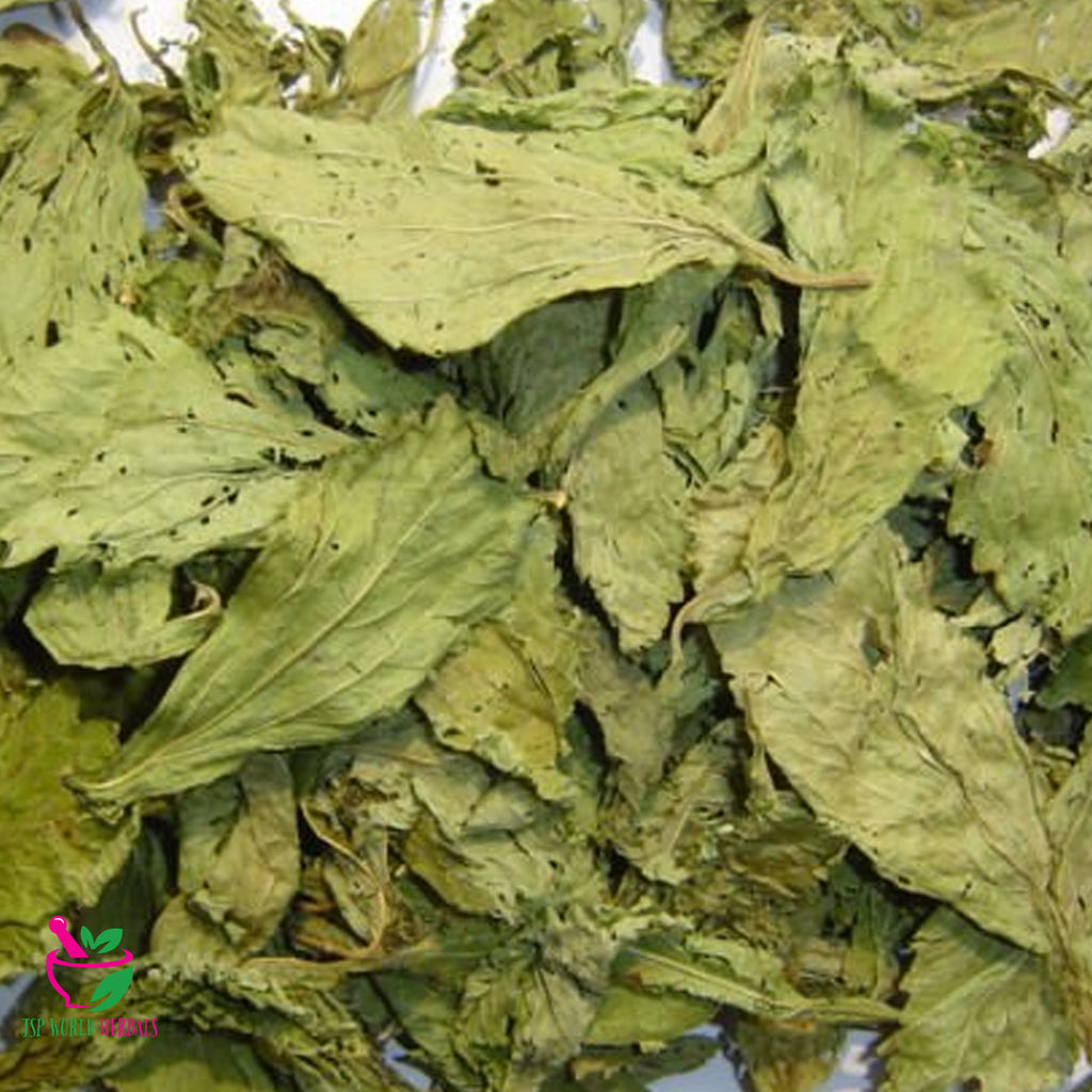 Dried Stevia Blood sugar levels Tea 100 Organic Authenic JSP