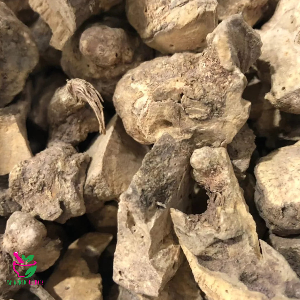 Smilax glabra dried rhizome product image