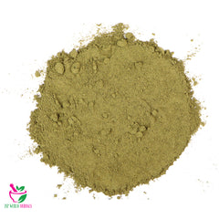 Ginkgo Biloba Powder 100 Grams 100% Organic Authenic