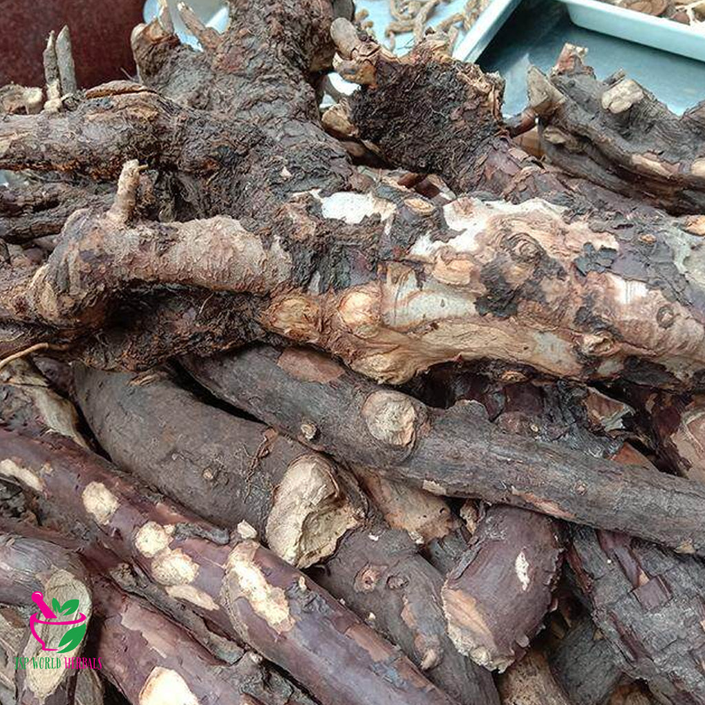 Dried Trigonostemon Relieving inflammatory symptoms 100 Grams 100