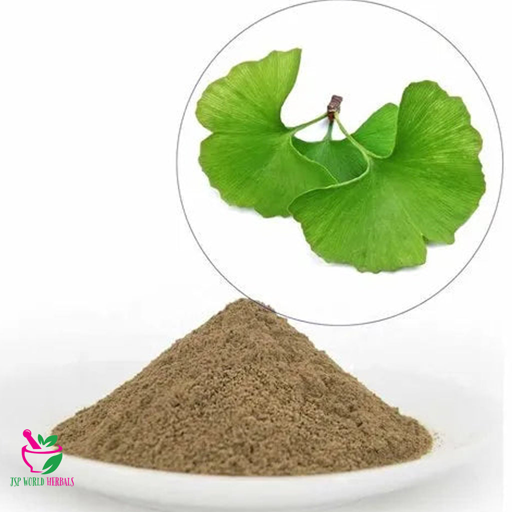 Ginkgo Biloba Powder Supplement for memory support or brain health