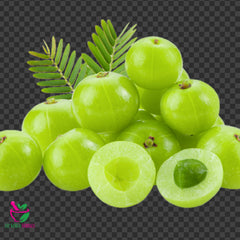 Dried Phyllanthus emblica Indian gooseberry 100 Grams 100% Organic Authenic