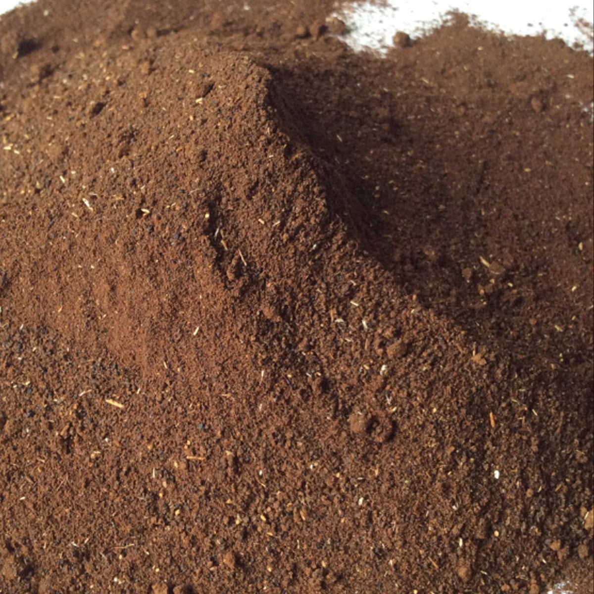 Molineria latifolia Dryand.ex W.TAiton Powder 100g.