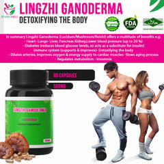 500mg Lingzhi Ganoderma (Lucidum/Mushroom/Reishi) 90 Capsules