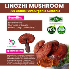 Dried Lingzhi mushroom 100 Grams 100% Organic Authenic