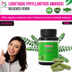 500mg Looktabai (Phyllanthus Amarus) Relieves Fever - Backache - Body Tonic 90 Capsules