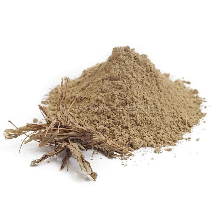 Acacia concinna Willd. Powder 100g.