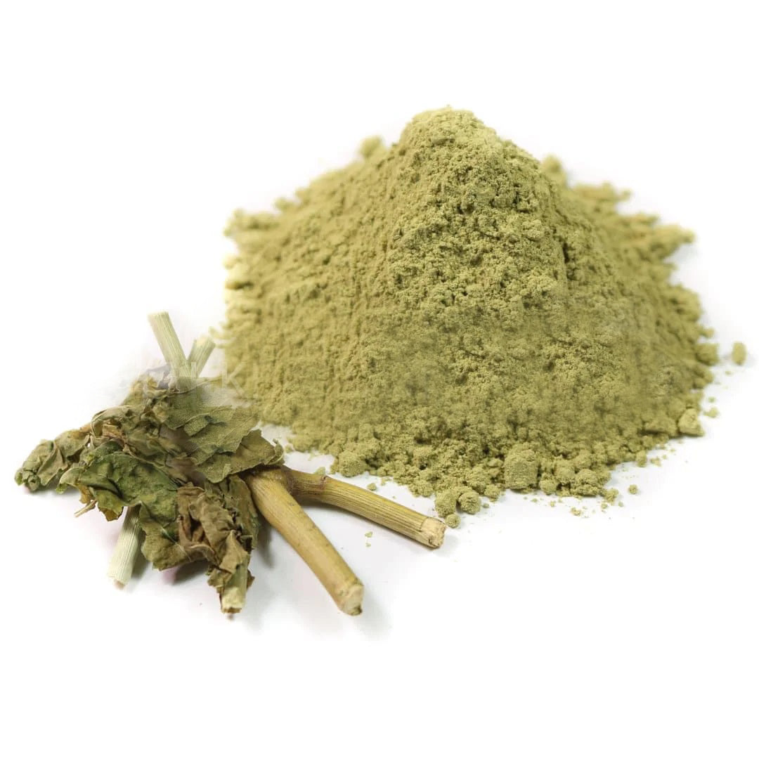 Hop-headed Barleria Barleria Lupulina Powder 100g.