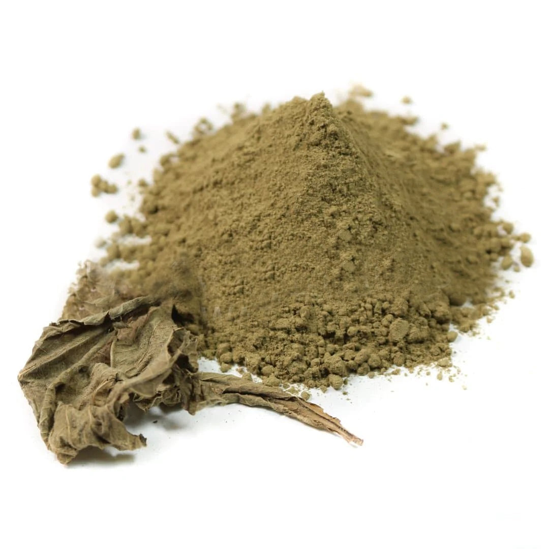 Prickly-leaved elephant's foot Powder 100g. Elephantopus scaber