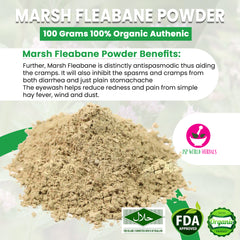 Marsh Fleabane Powder 100 Grams 100% Organic Authenic