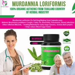 500mg Murdannia Loriformis (Ya Pak King/Beijing Gras) 90 Capsules