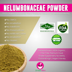 Nelumbonaceae Powder 100 Grams 100% Organic Authenic