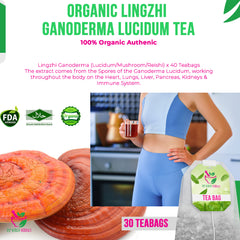 Organic Lingzhi Ganoderma Lucidum Tea 30 Teabags