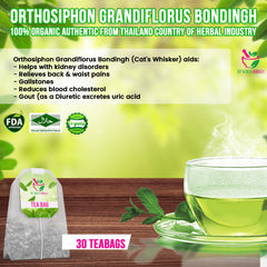 Orthosiphon Grandiflorus Bondingh (Cat's Whisker) Tea 30 teabags