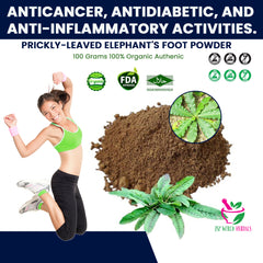Prickly-leaved elephant's foot Powder 100 Grams 100% Organic Authenic
