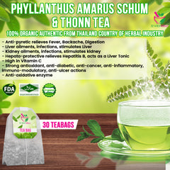 Phyllanthus Amarus Schum & Thonn Tea 30 Teabags