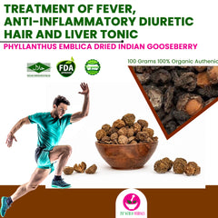 Phyllanthus emblica Dried Indian gooseberry 100 Grams 100% Organic Authenic