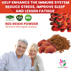 Red Reishi Powder 100 Grams 100% Organic Authenic