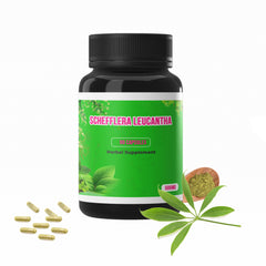 500mg Schefflera Leucantha (Hanuman Prasarngay) 90 Capsules