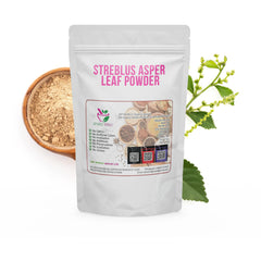 Streblus Asper Leaf Powder (Koi) 100 Grams 100% Organic Authenic