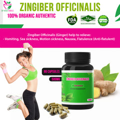 500mg Zingiber Officinalis (Ginger) 90 Capsules