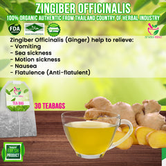 Zingiber Officinalis (Ginger) 30 Teabags