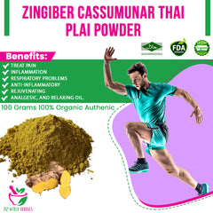 Zingiber cassumunar Thai Plai Powder 100 Grams 100% Organic Authenic