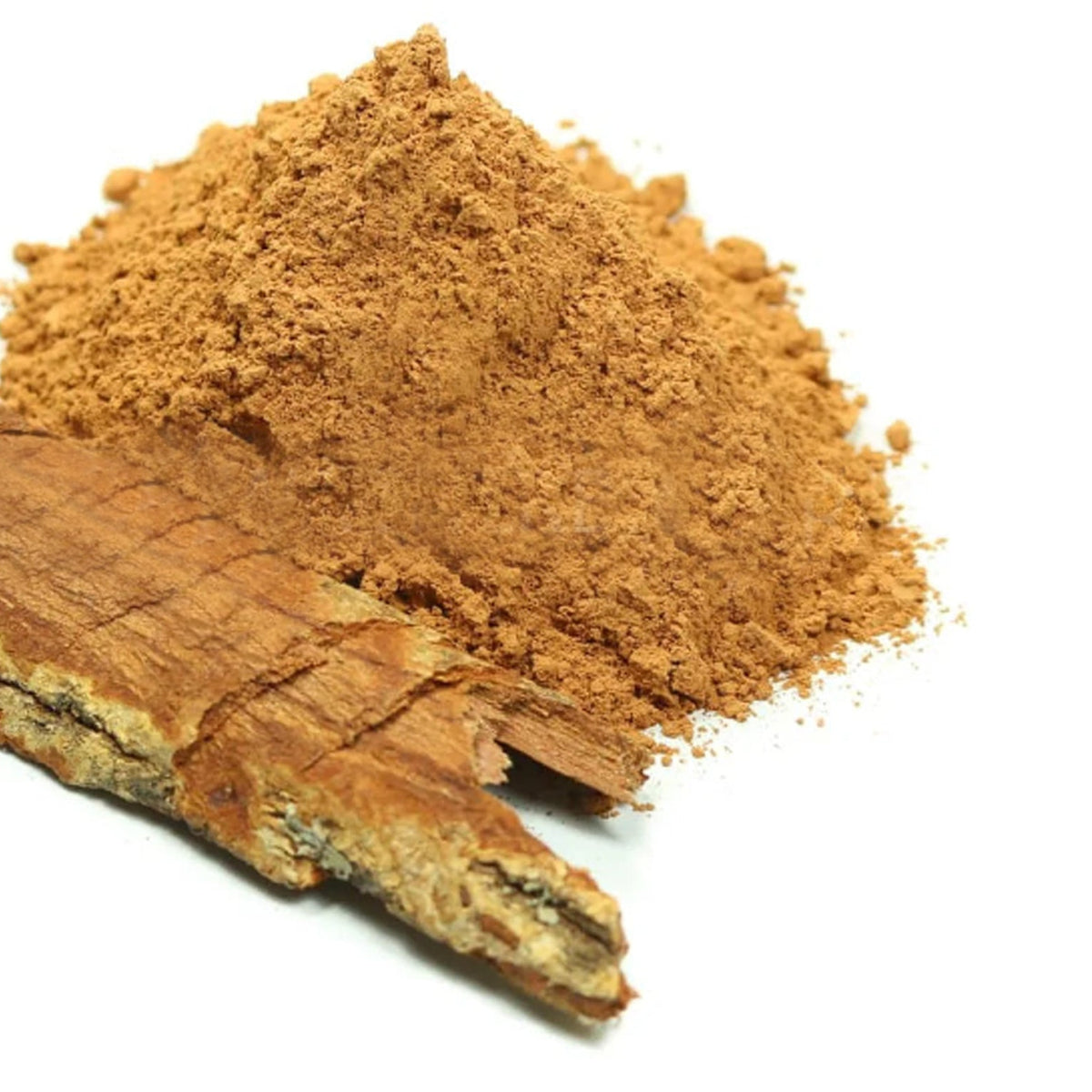 Cinnamomum bejolghota Buch.-Ham. Powder 100g.