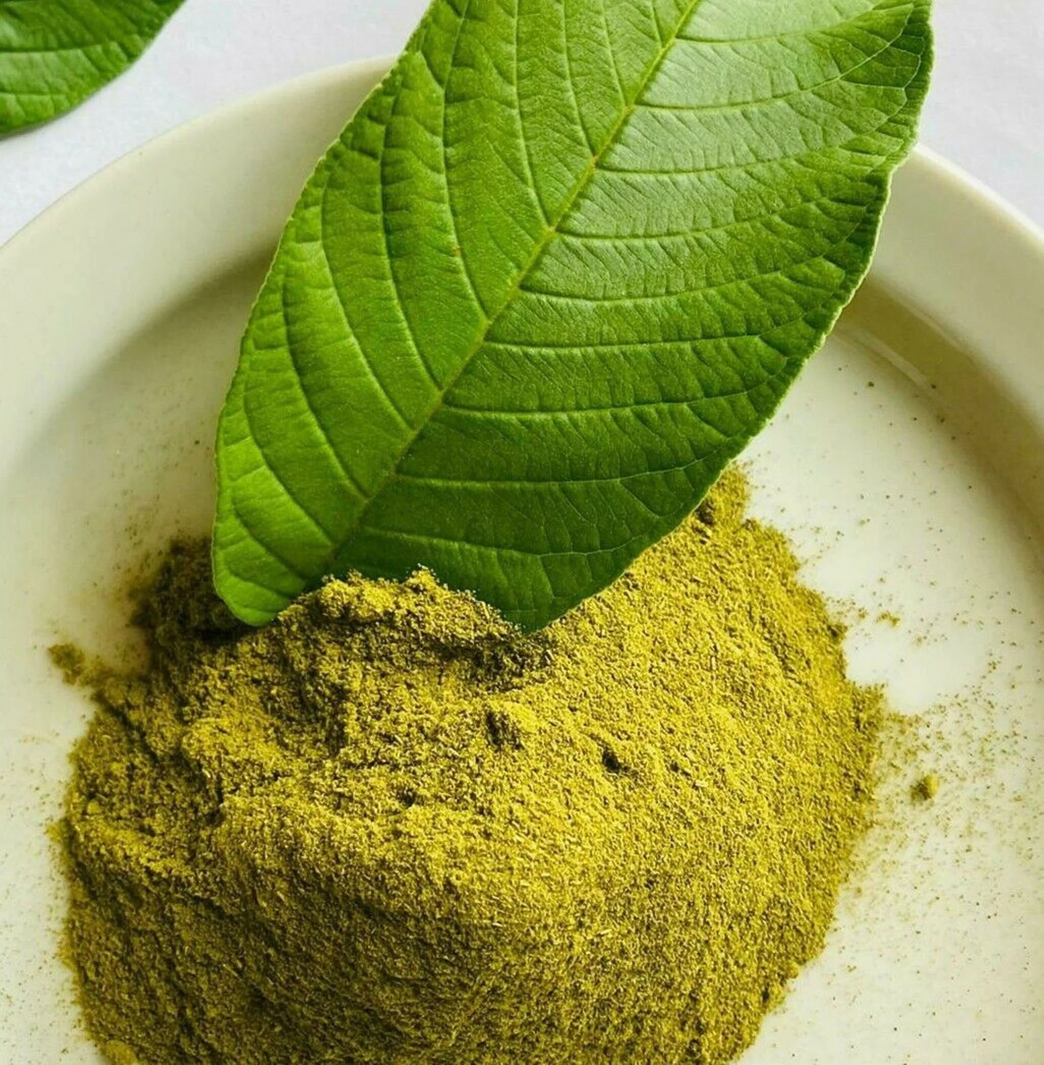 Guava Leaf Powder No GMOs Thailand Origin Vegan Friendly JSP guava-leaf-powder-no-gmos-thailand-origin-vegan-friendly-jsp