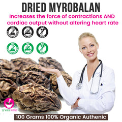 Dried Myrobalan 100 Grams 100% Organic Authenic