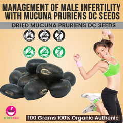 Dried Mucuna pruriens DC Seeds 100 Grams 100% Organic Authenic