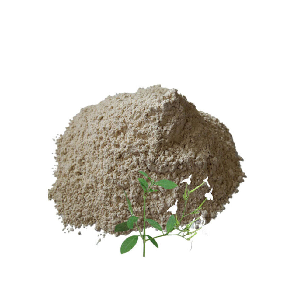 Rhinacanthus Nasutus Powder 100g.
