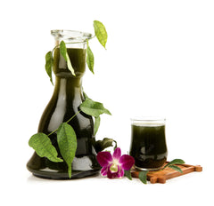 Tiliacora triandra leaf Tea Powder 100 Grams 100% Organic Authenic