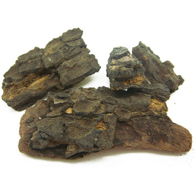 Dried Diospyros Rhodocalyx Kurz Bark 100g.